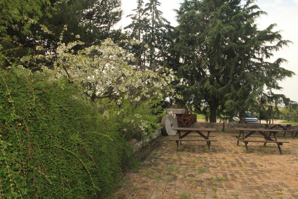 Hotel La Quiete Assisi Luaran gambar