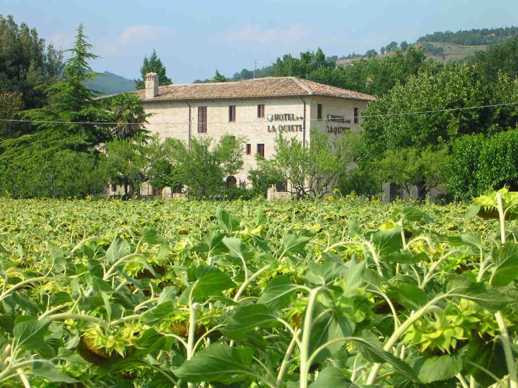 Hotel La Quiete Assisi Luaran gambar