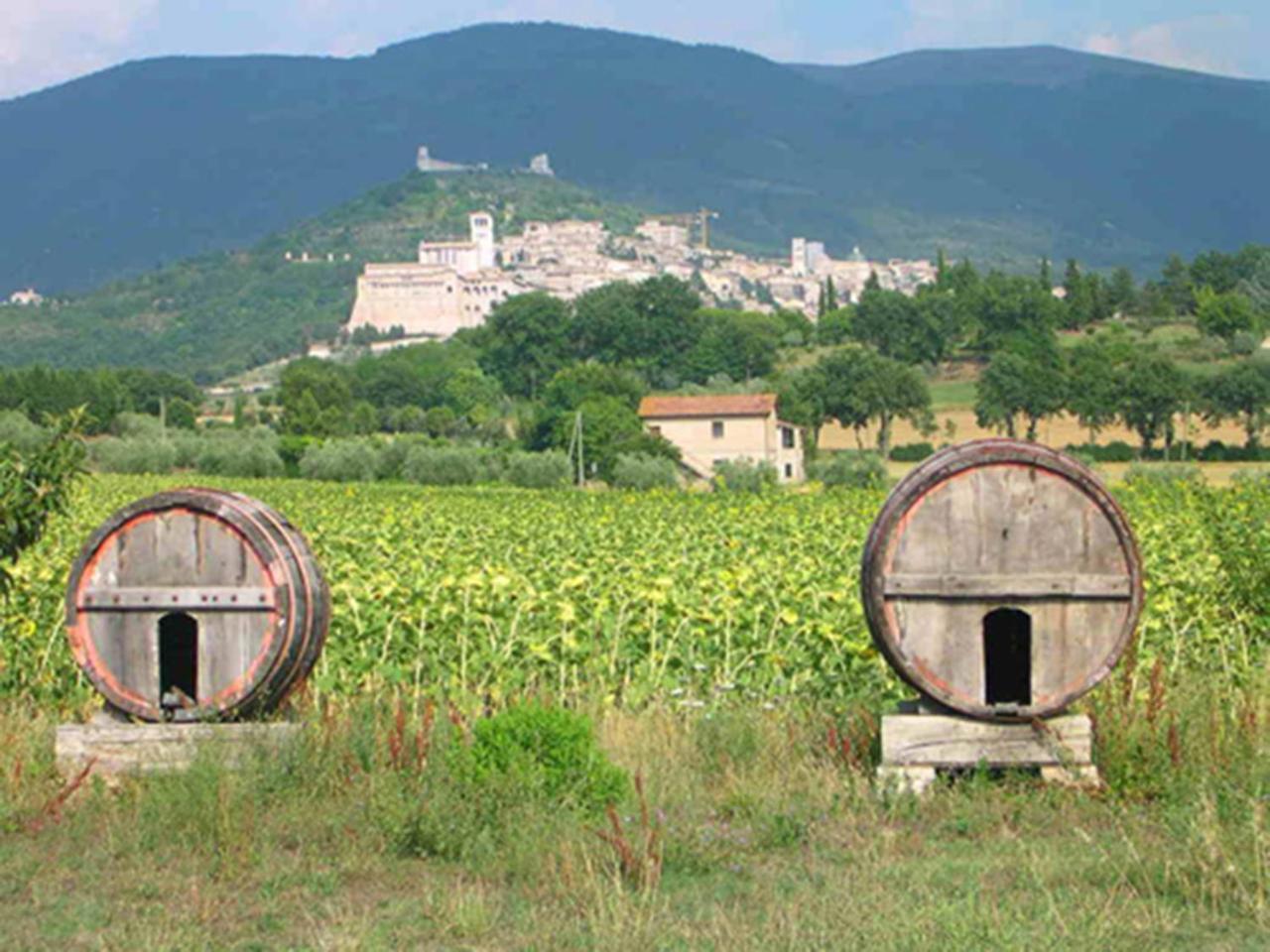 Hotel La Quiete Assisi Luaran gambar