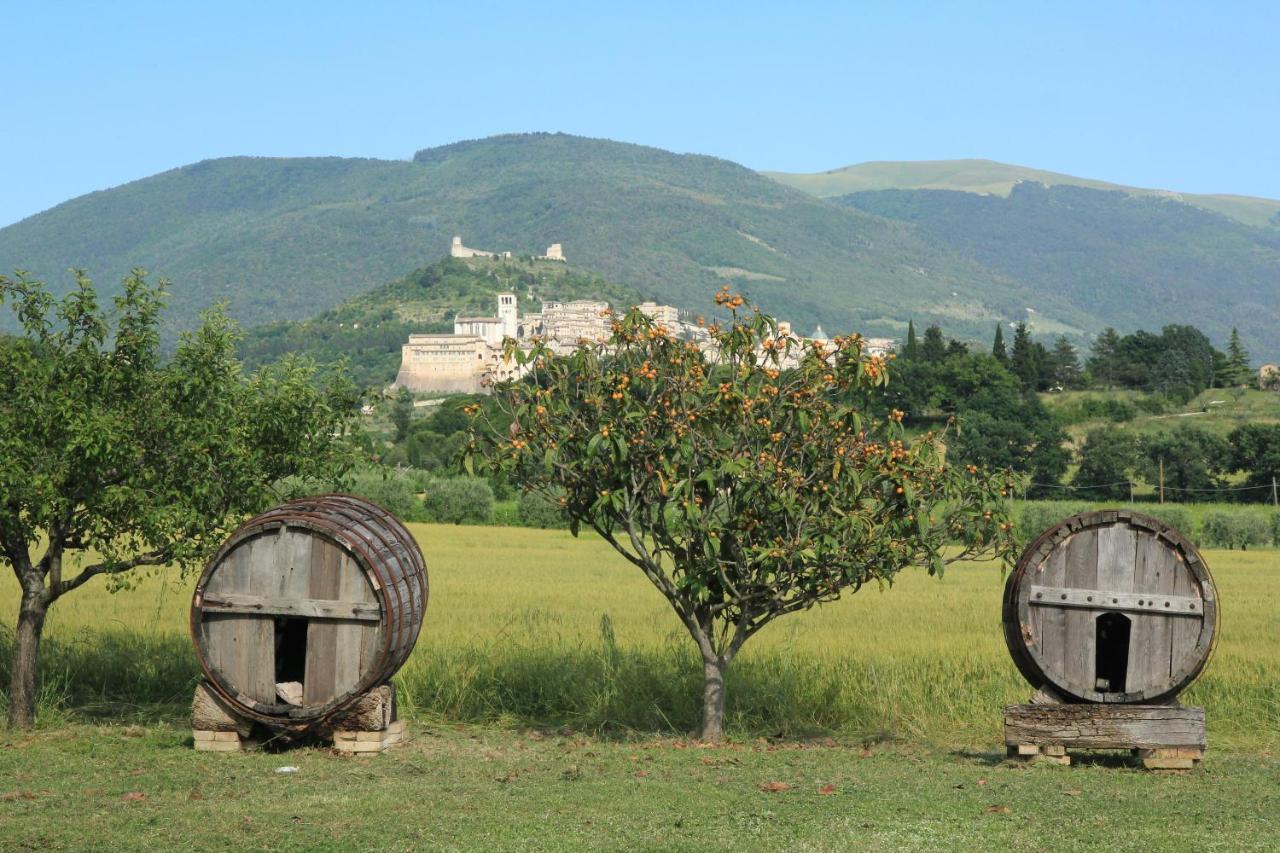 Hotel La Quiete Assisi Luaran gambar